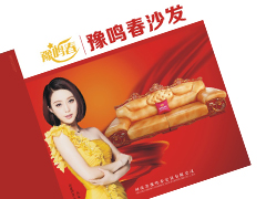 郑州专业做家具画册的设计公司